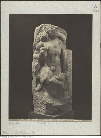 Vorderseite von bh025454_recto