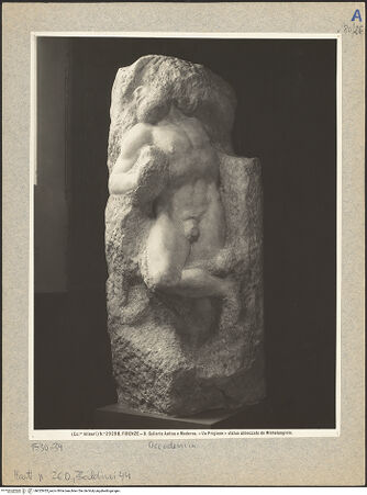 Vorderseite von bh025455_recto