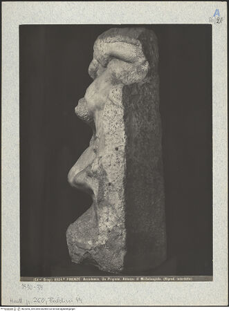 Vorderseite von bh025456_recto