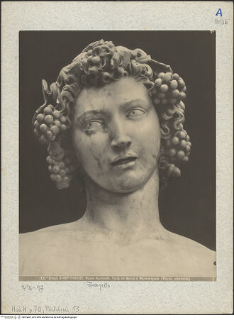 Vorderseite von bh025462_recto