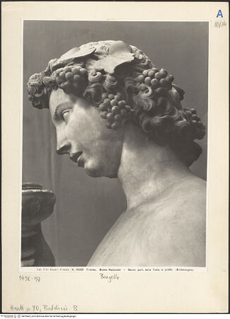 Vorderseite von bh025463_recto