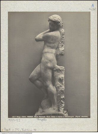 Vorderseite von bh025469_recto