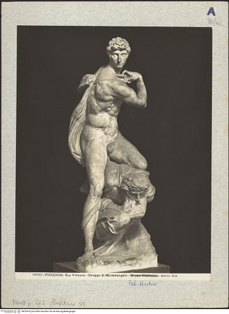 Vorderseite von bh025479_recto