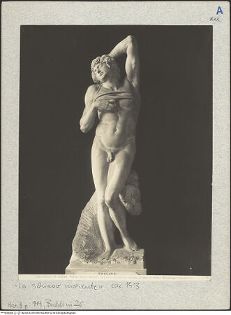 Vorderseite von bh025520_recto