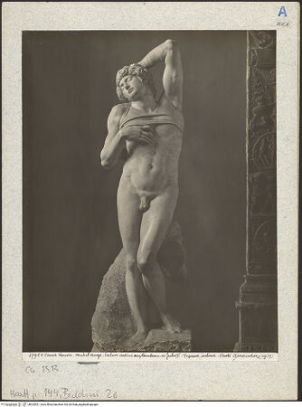 Vorderseite von bh025521_recto