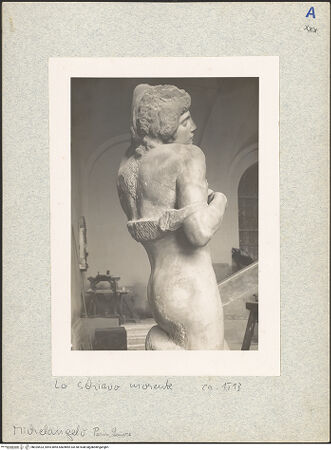 Vorderseite von bh025523_recto