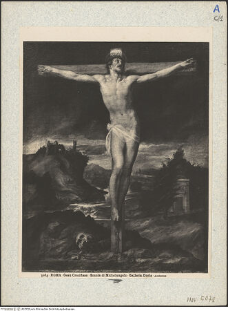 Vorderseite von bh025528_recto