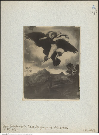 Vorderseite von bh025534_recto