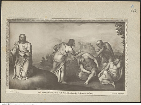 Vorderseite von bh025536_recto