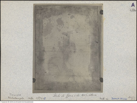 Vorderseite von bh025542_recto