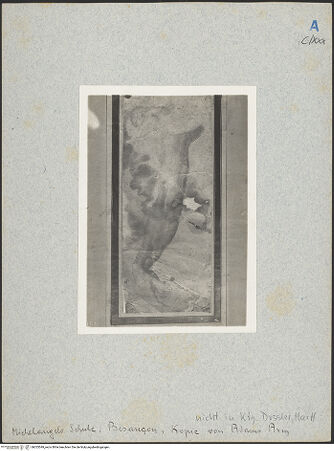 Vorderseite von bh025549_recto