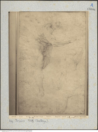 Vorderseite von bh025557_recto