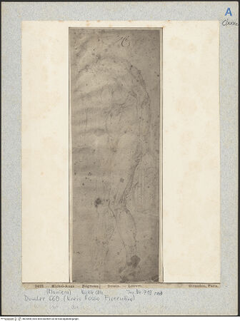 Vorderseite von bh025566_recto