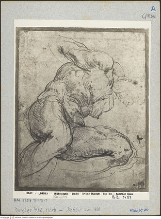 Vorderseite von bh025599_recto