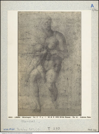 Vorderseite von bh025603_recto