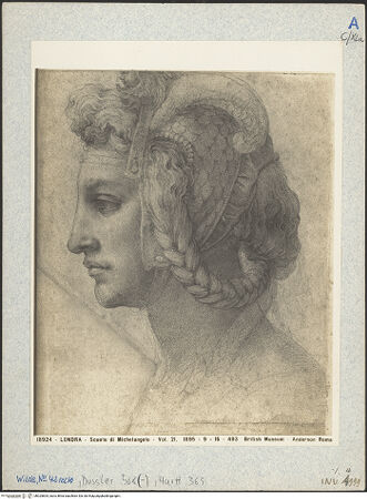 Vorderseite von bh025605_recto