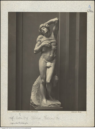 Vorderseite von bh025620_recto