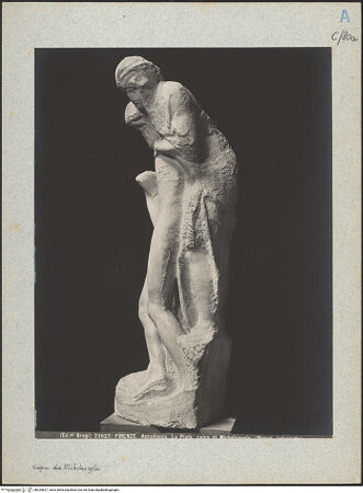 Vorderseite von bh025627_recto