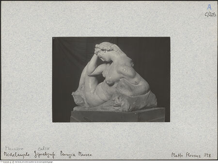 Vorderseite von bh025636_recto