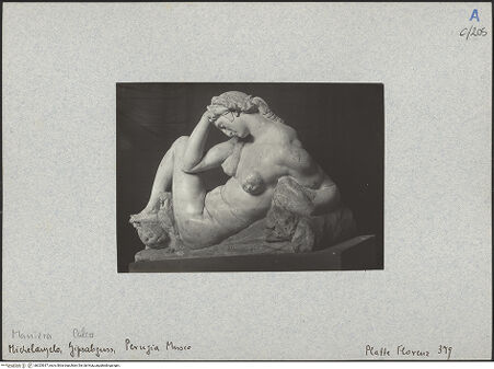 Vorderseite von bh025637_recto