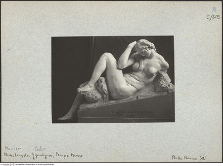 Vorderseite von bh025639_recto