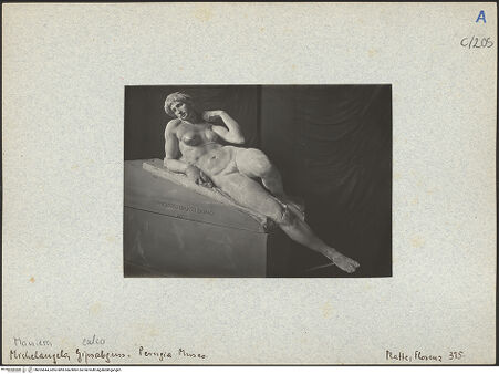 Vorderseite von bh025644_recto