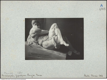 Vorderseite von bh025647_recto