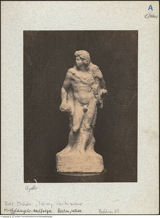 Vorderseite von bh025651_recto