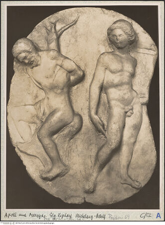 Vorderseite von bh025662_recto