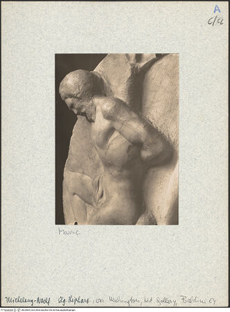 Vorderseite von bh025664_recto