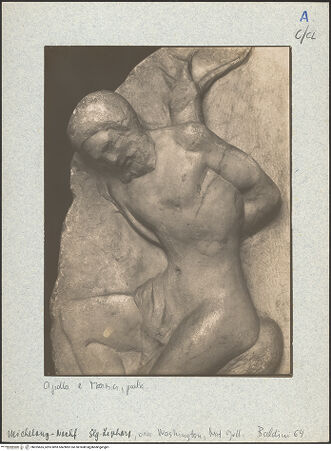 Vorderseite von bh025665_recto