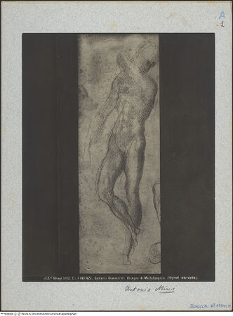 Vorderseite von bh025676_recto