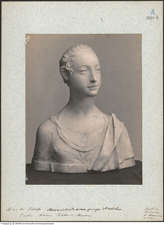 Vorderseite von bh025684_recto