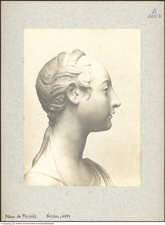 Vorderseite von bh025685_recto