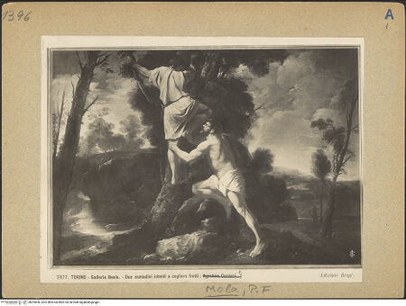 Vorderseite von bh025696_recto