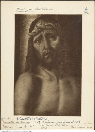 Vorderseite von bh025747_recto