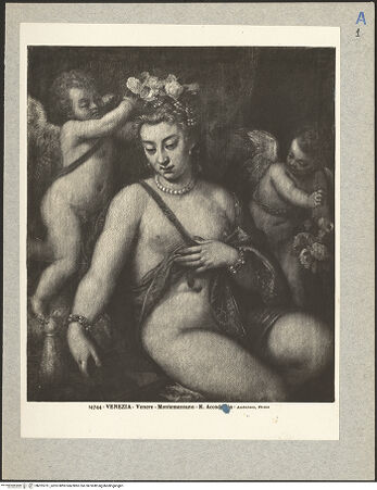 Vorderseite von bh025751_recto