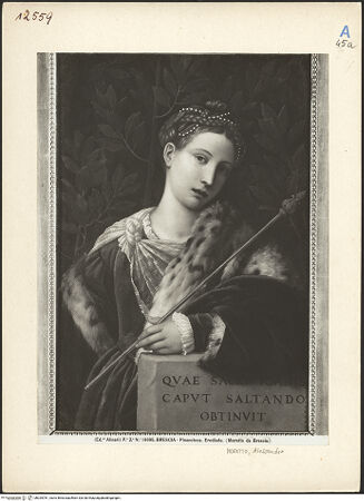 Vorderseite von bh025781_recto