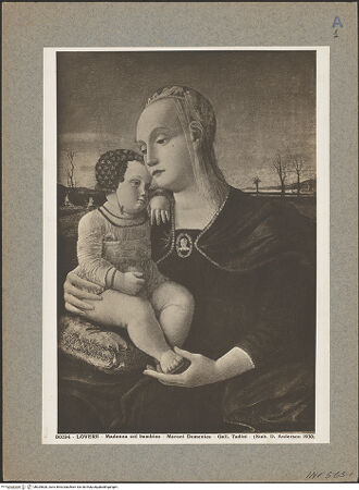 Vorderseite von bh025828_recto