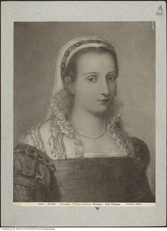 Vorderseite von bh025878_recto