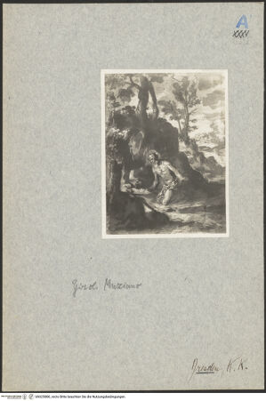 Vorderseite von bh025880_recto