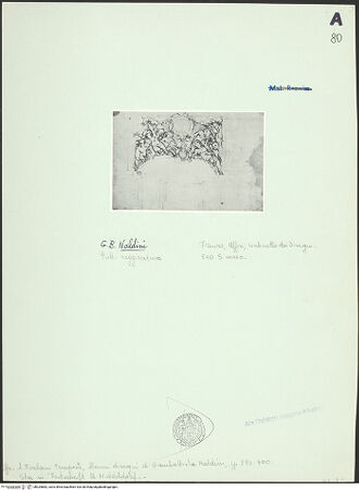 Vorderseite von bh025882_recto