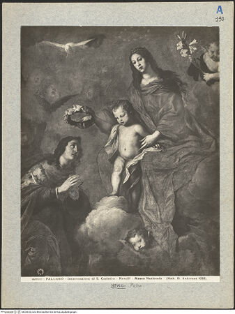 Vorderseite von bh025920_recto