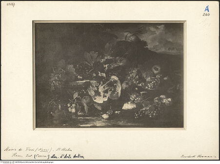 Vorderseite von bh025928_recto