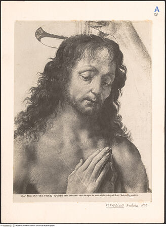 Vorderseite von Alinari [https://www.deutsche-digitale-bibliothek.de/content/lizenzen/rv-fz/] Taufe Christi - Detail: Christus, bh025945_recto. Foto.