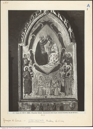 Vorderseite von bh025953_recto