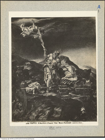 Vorderseite von bh025967_recto