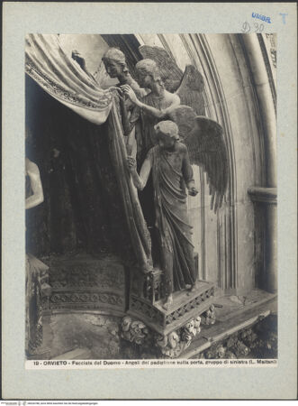 Vorderseite von bh026788_recto