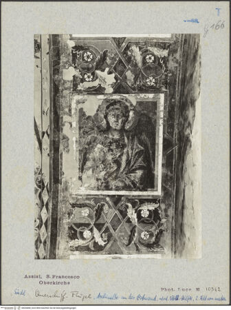 Vorderseite von bh026808_recto