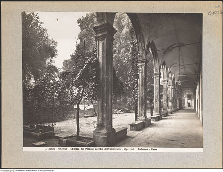 Vorderseite von Alinari [https://www.deutsche-digitale-bibliothek.de/content/lizenzen/rv-ez/] Università degli Studi Federico II - Kreuzgang, bh026834_recto. Foto.